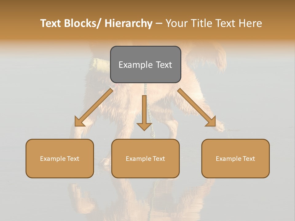 Canine Dogs Golden PowerPoint Template