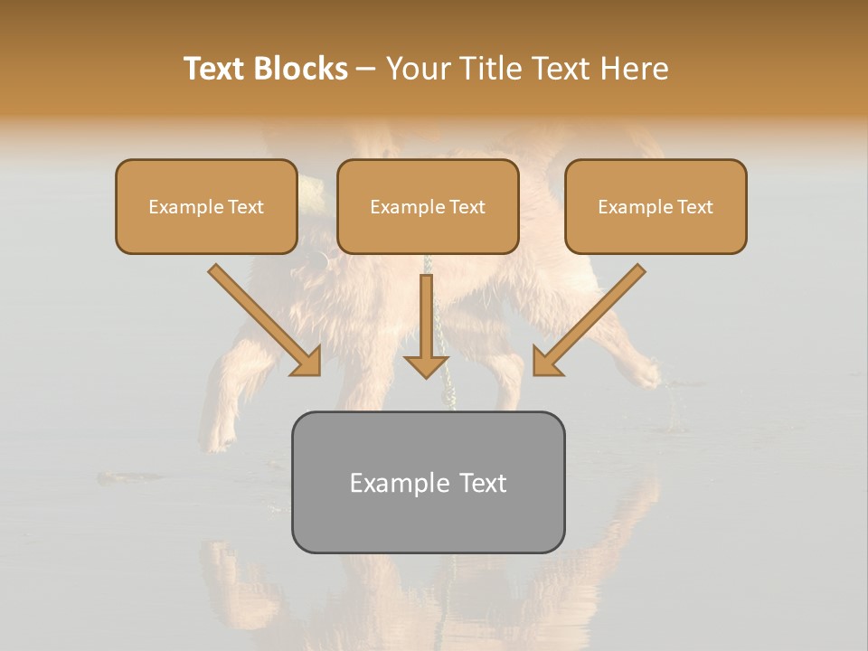 Canine Dogs Golden PowerPoint Template