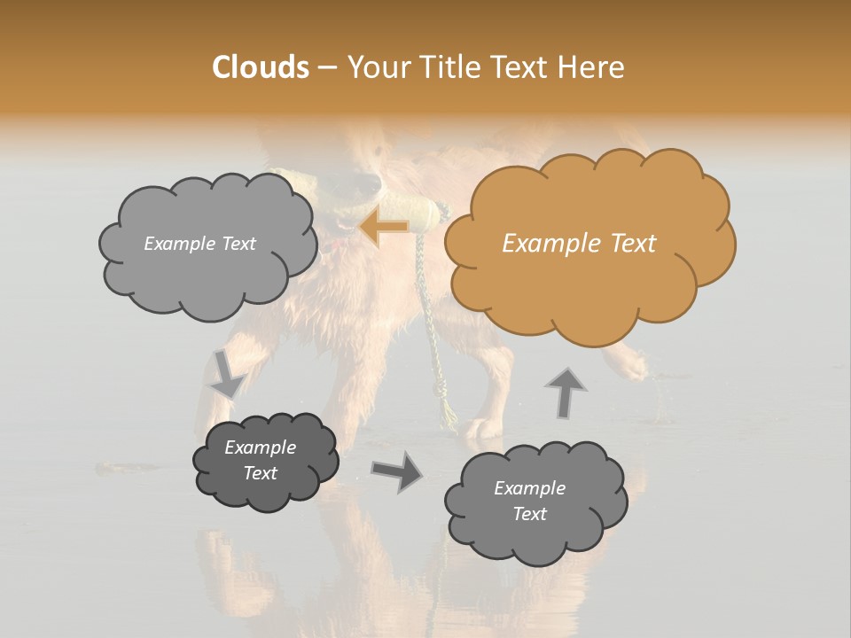 Canine Dogs Golden PowerPoint Template