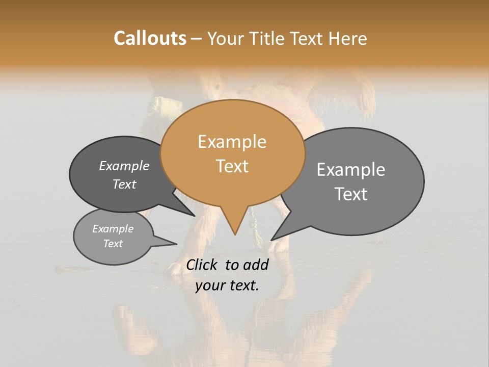 Canine Dogs Golden PowerPoint Template