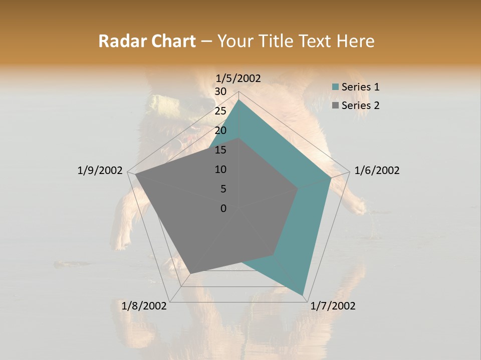 Canine Dogs Golden PowerPoint Template