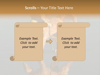 Canine Dogs Golden PowerPoint Template