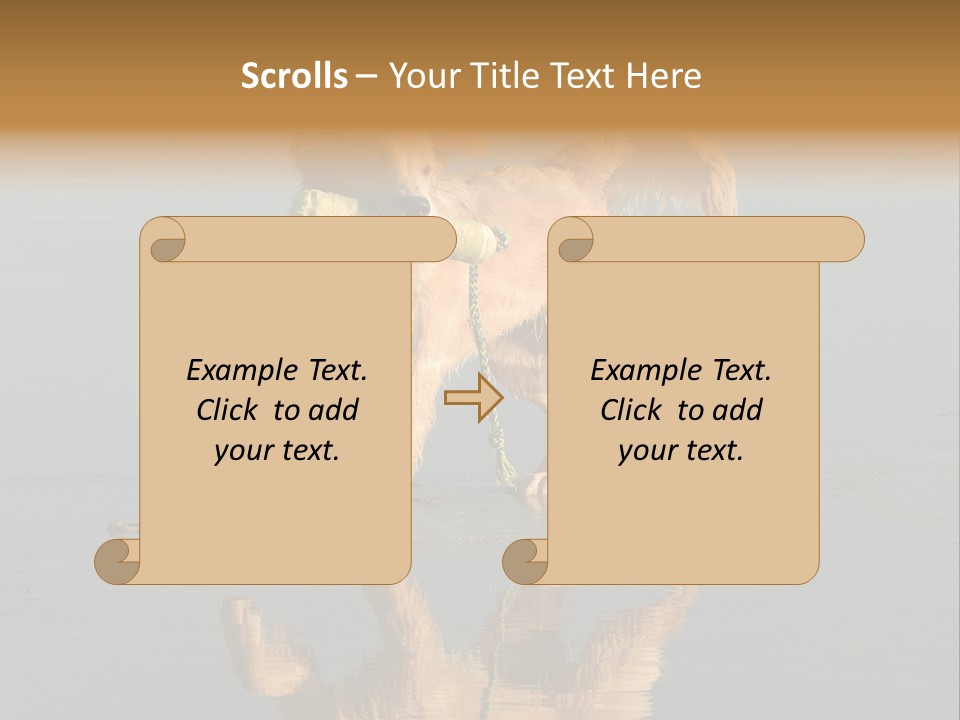 Canine Dogs Golden PowerPoint Template