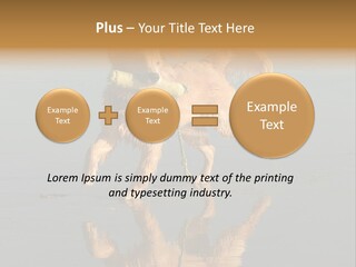 Canine Dogs Golden PowerPoint Template