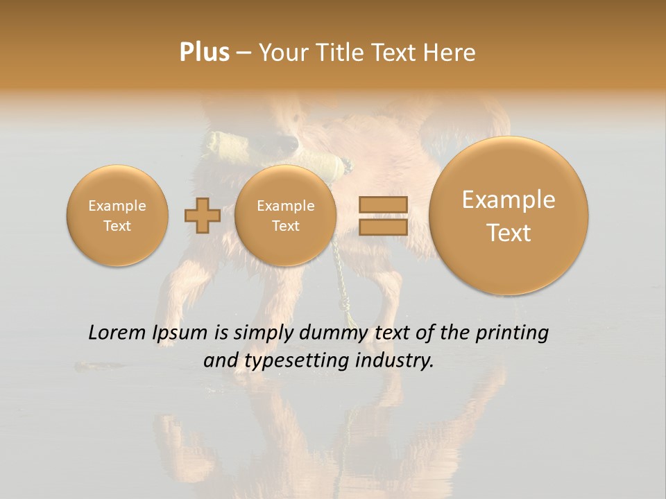 Canine Dogs Golden PowerPoint Template