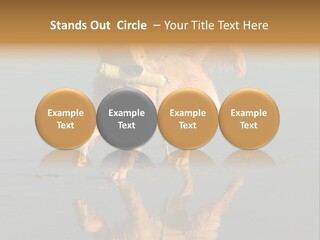 Canine Dogs Golden PowerPoint Template