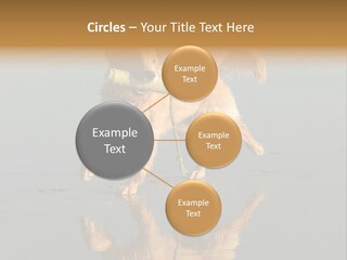 Canine Dogs Golden PowerPoint Template