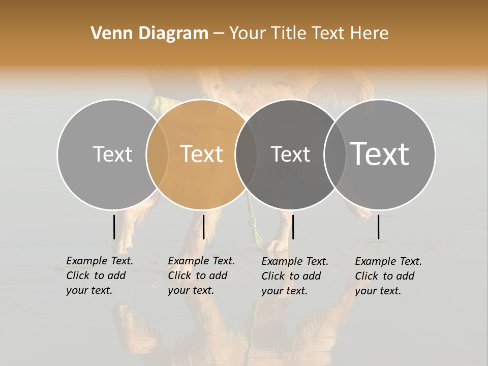 Canine Dogs Golden PowerPoint Template