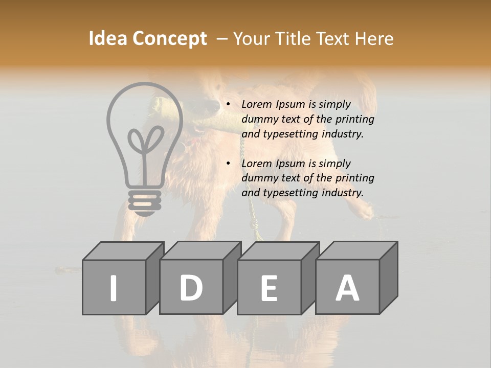 Canine Dogs Golden PowerPoint Template