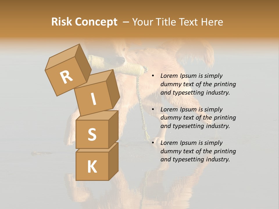 Canine Dogs Golden PowerPoint Template