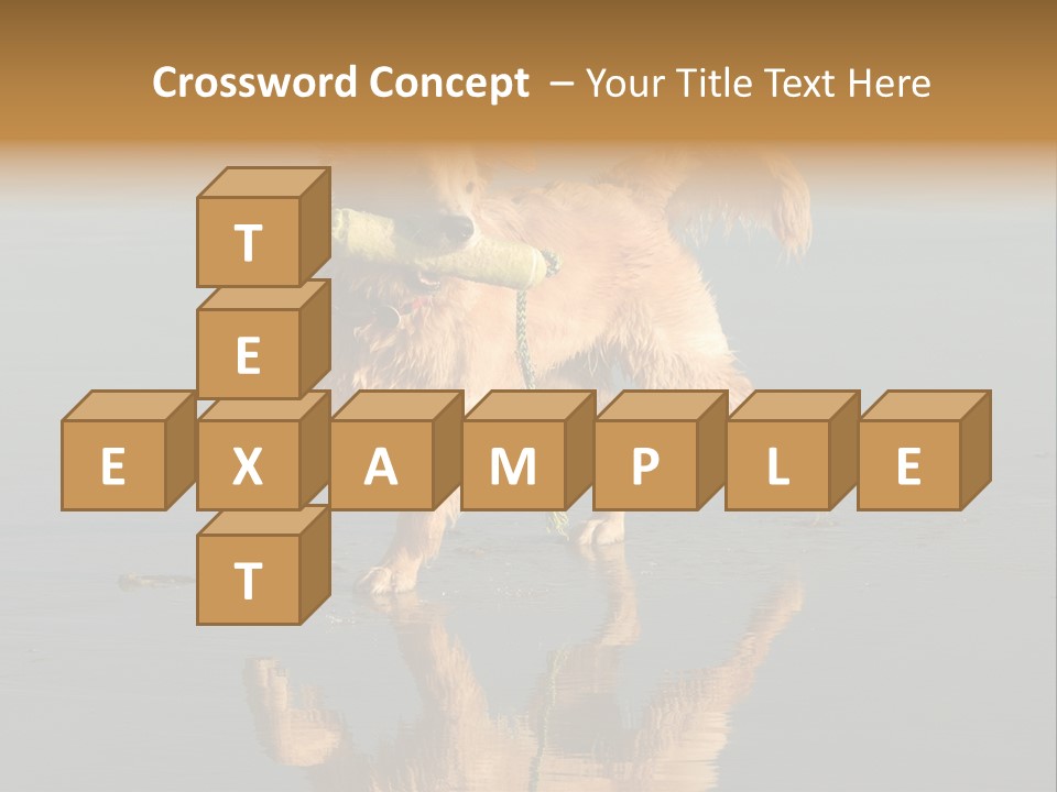 Canine Dogs Golden PowerPoint Template