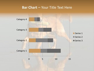 Canine Dogs Golden PowerPoint Template