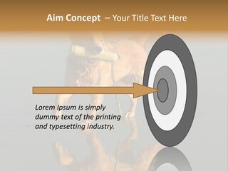 Canine Dogs Golden PowerPoint Template