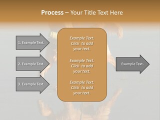 Canine Dogs Golden PowerPoint Template