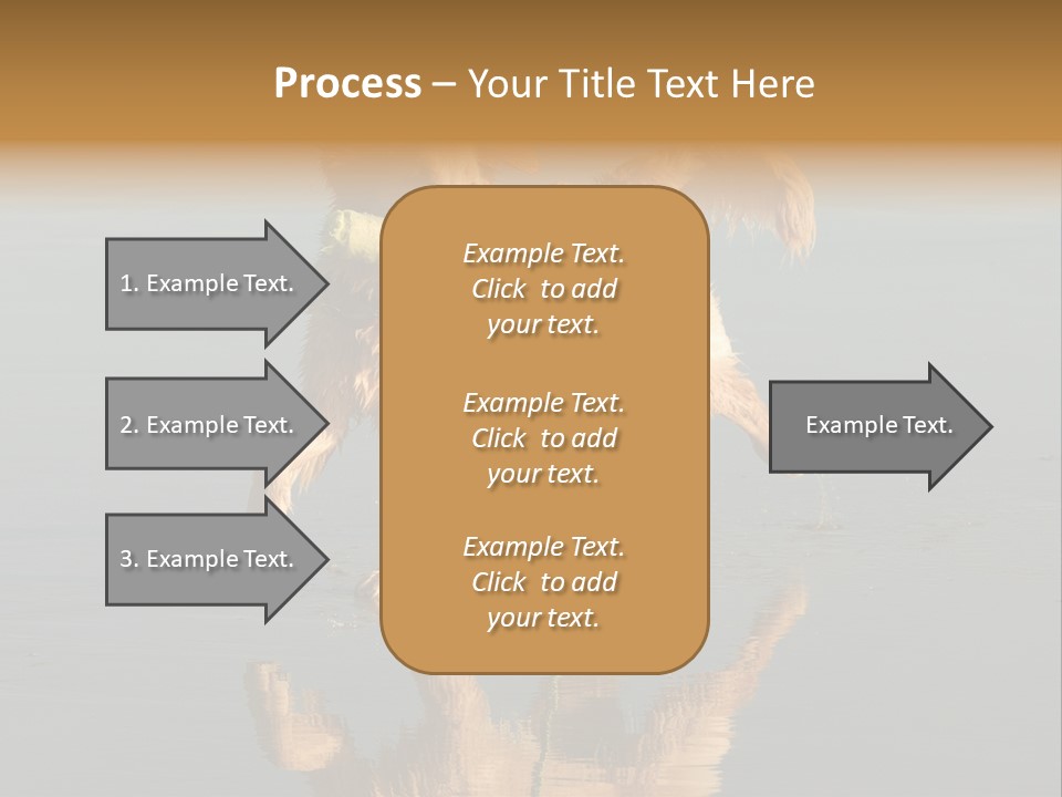 Canine Dogs Golden PowerPoint Template