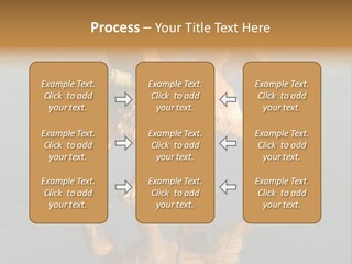 Canine Dogs Golden PowerPoint Template