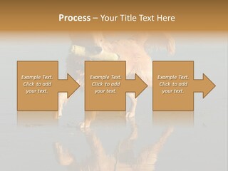 Canine Dogs Golden PowerPoint Template
