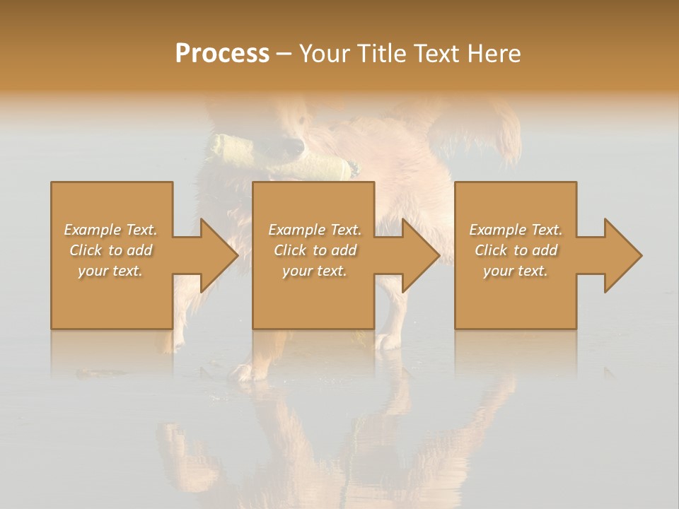 Canine Dogs Golden PowerPoint Template
