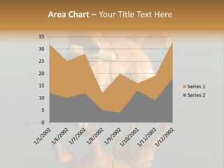 Canine Dogs Golden PowerPoint Template