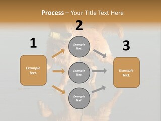 Canine Dogs Golden PowerPoint Template