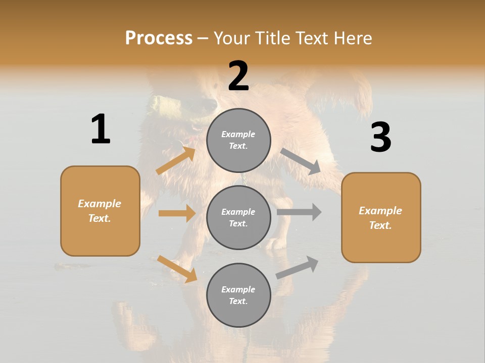 Canine Dogs Golden PowerPoint Template