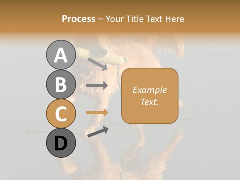Canine Dogs Golden PowerPoint Template
