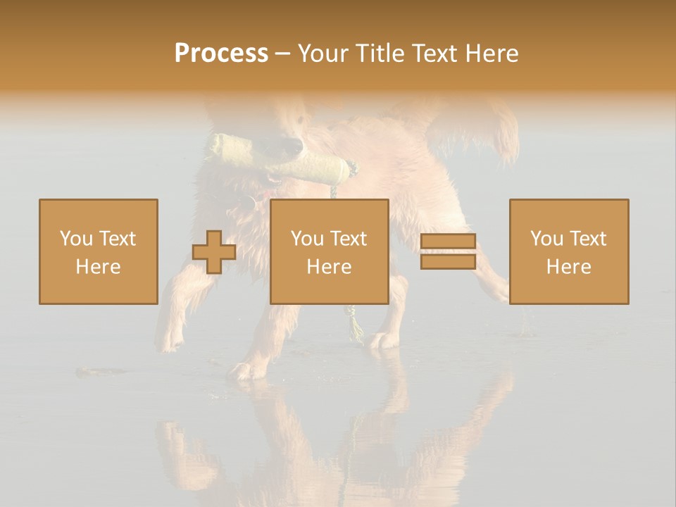 Canine Dogs Golden PowerPoint Template
