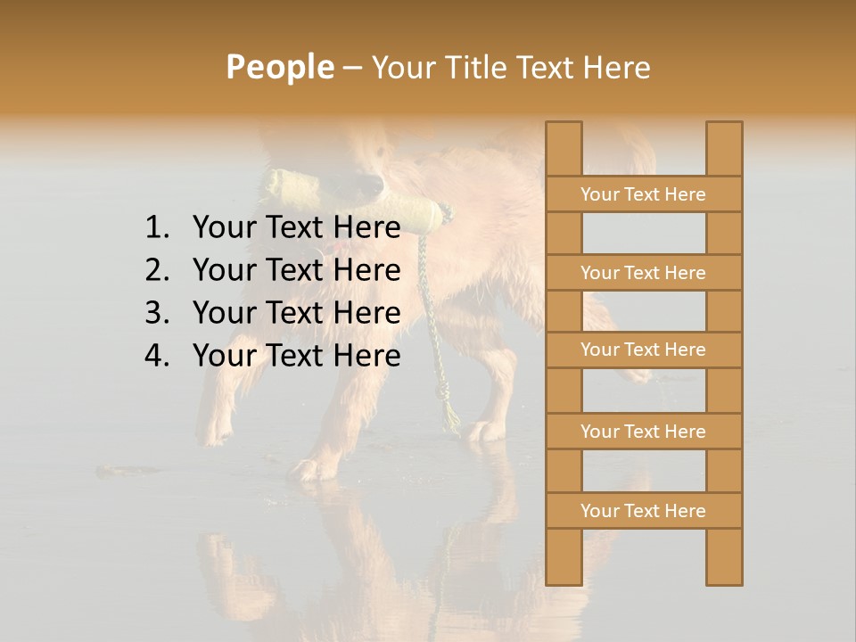 Canine Dogs Golden PowerPoint Template