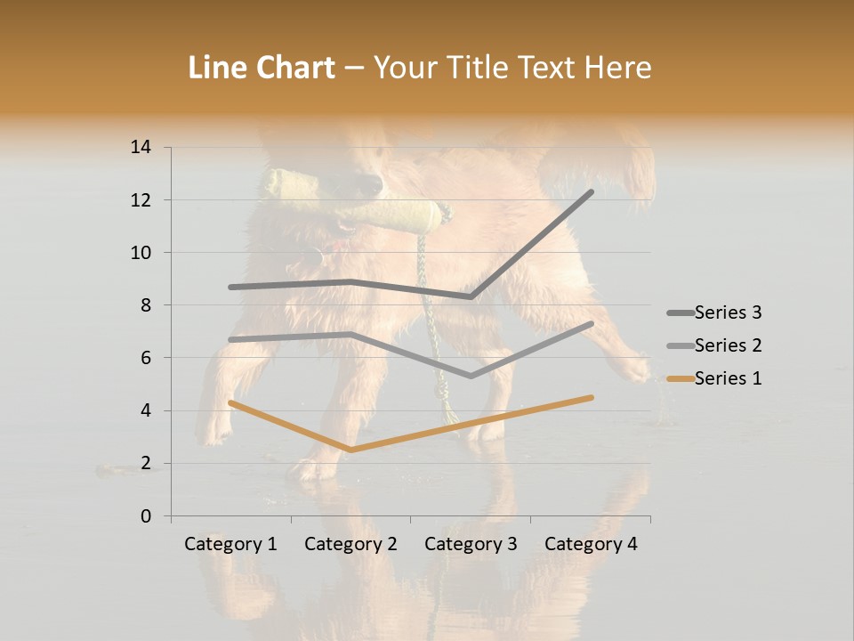 Canine Dogs Golden PowerPoint Template