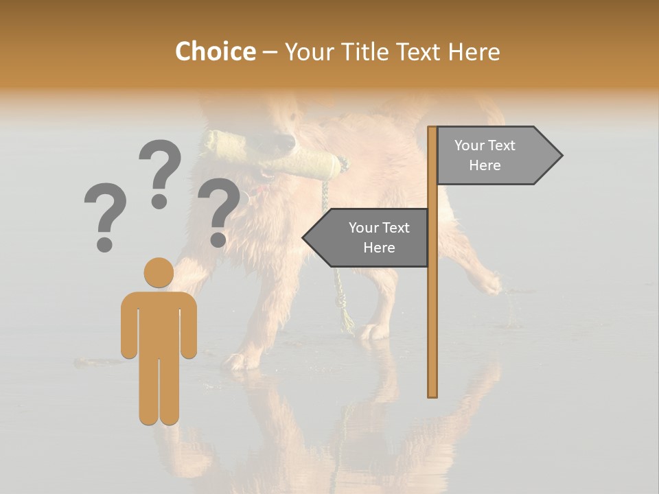 Canine Dogs Golden PowerPoint Template