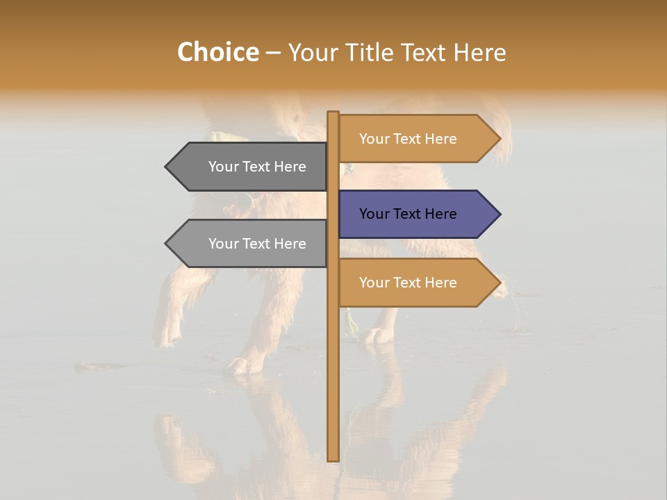 Canine Dogs Golden PowerPoint Template