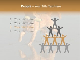 Canine Dogs Golden PowerPoint Template