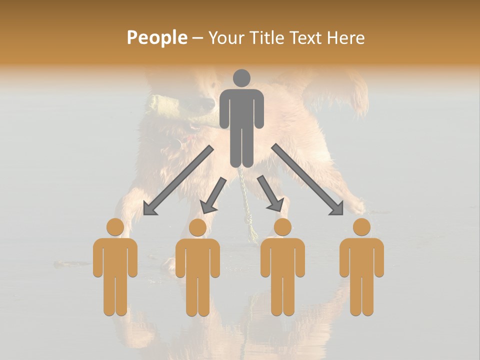 Canine Dogs Golden PowerPoint Template