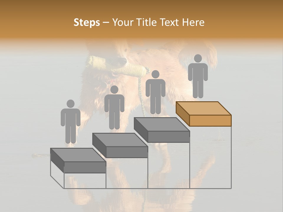Canine Dogs Golden PowerPoint Template