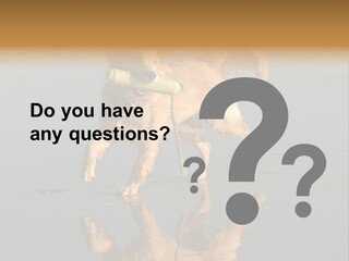 Canine Dogs Golden PowerPoint Template