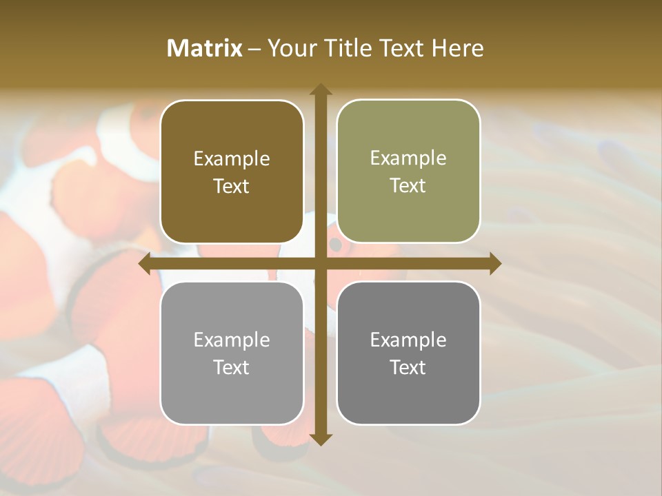 Fish Colorful Anemone Fish PowerPoint Template