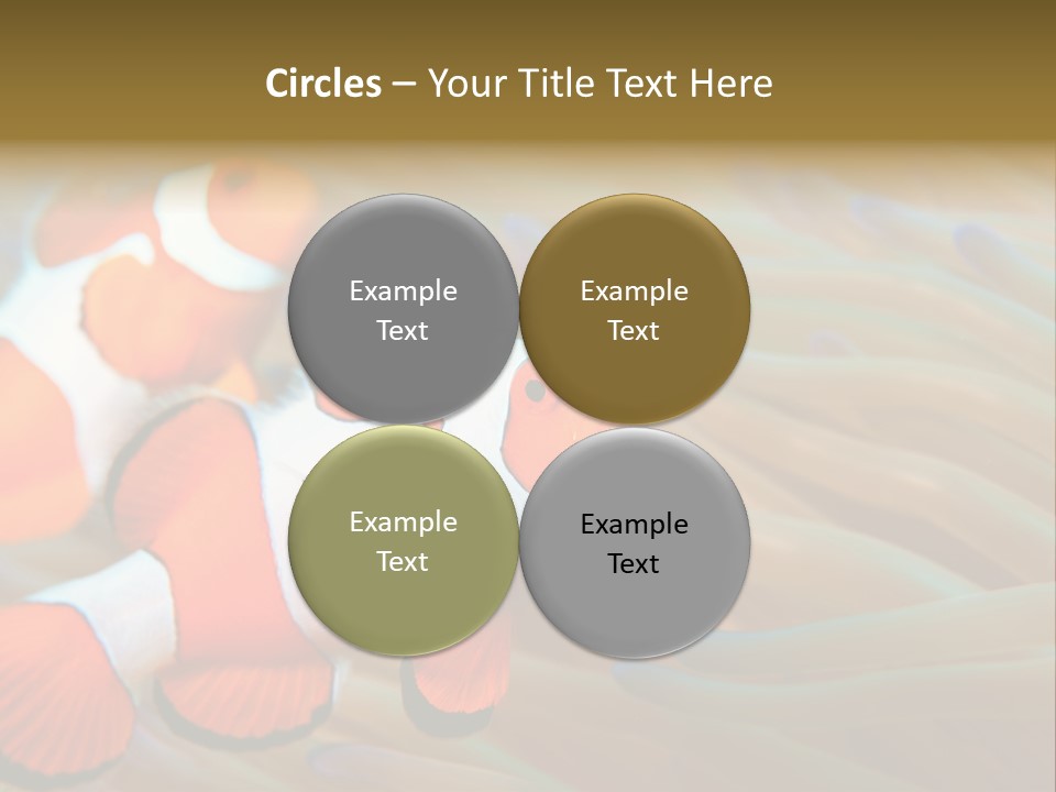 Fish Colorful Anemone Fish PowerPoint Template