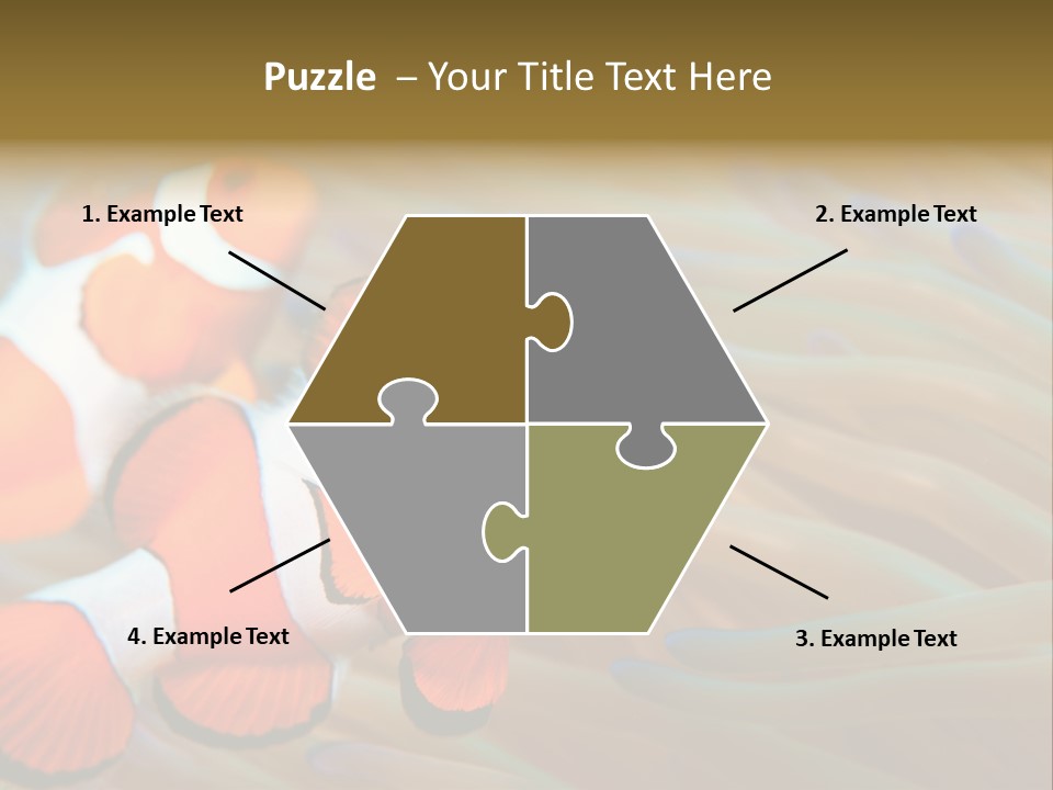 Fish Colorful Anemone Fish PowerPoint Template