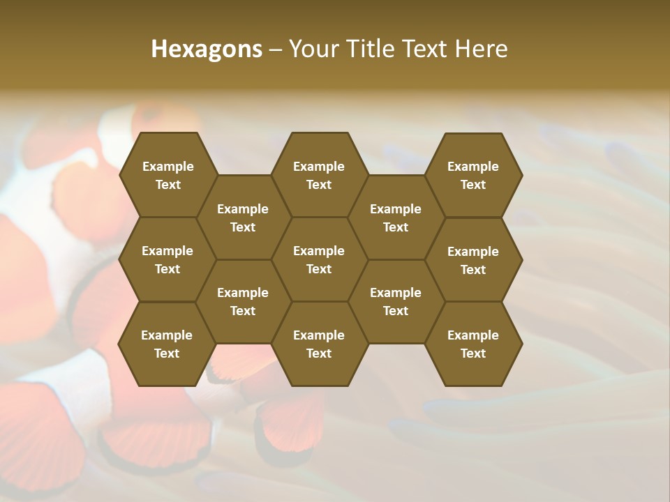 Fish Colorful Anemone Fish PowerPoint Template