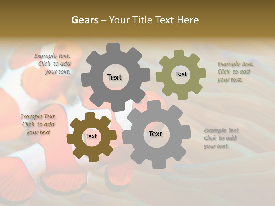 Fish Colorful Anemone Fish PowerPoint Template