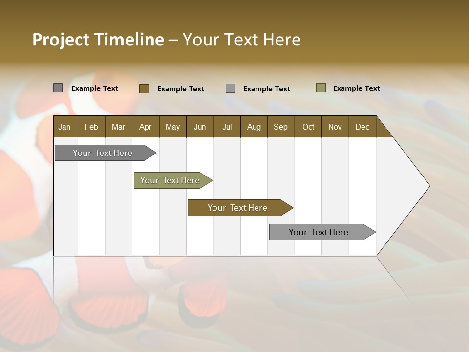 Fish Colorful Anemone Fish PowerPoint Template