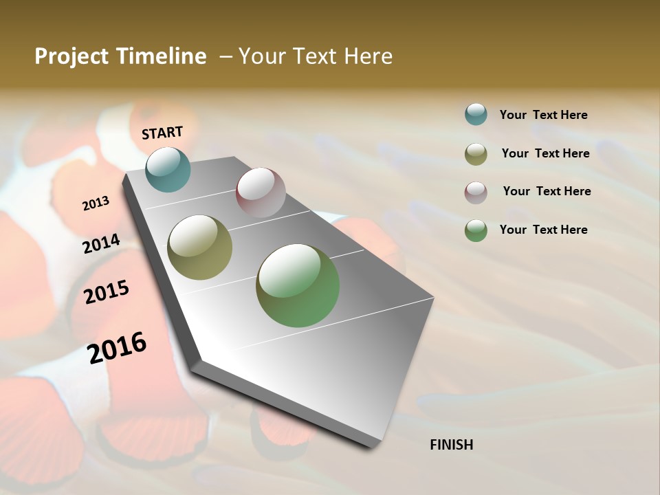 Fish Colorful Anemone Fish PowerPoint Template