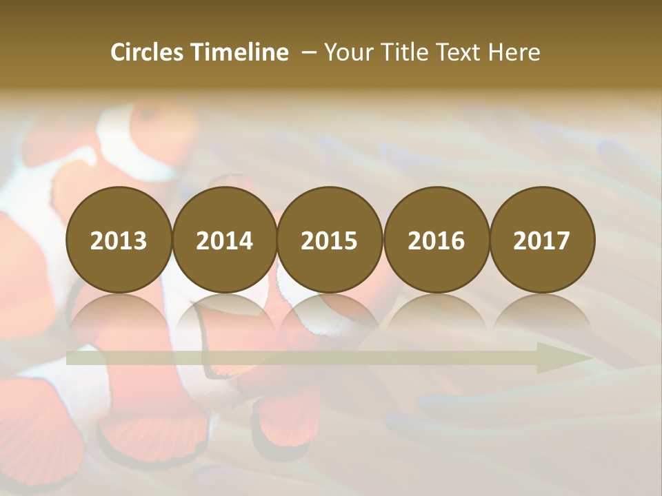 Fish Colorful Anemone Fish PowerPoint Template