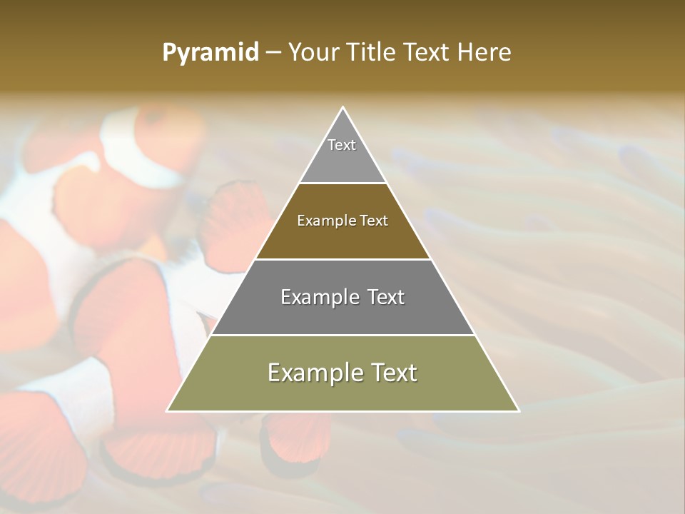 Fish Colorful Anemone Fish PowerPoint Template