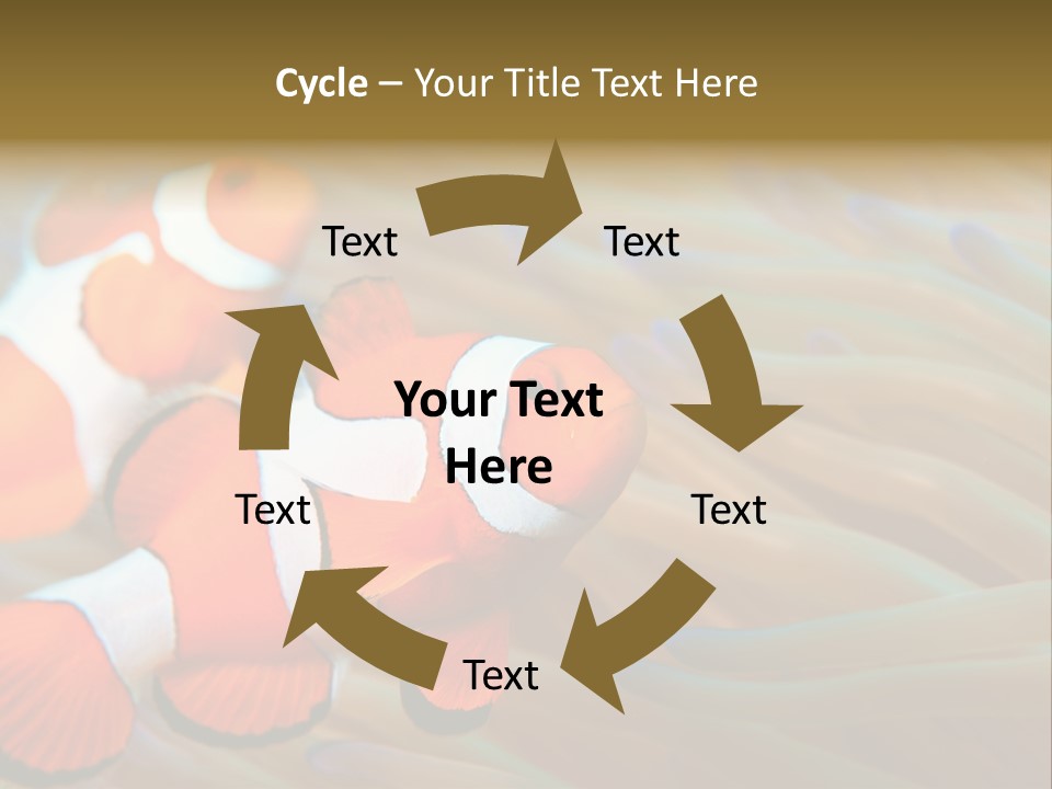 Fish Colorful Anemone Fish PowerPoint Template