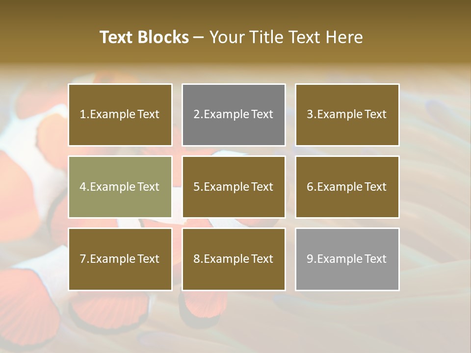 Fish Colorful Anemone Fish PowerPoint Template