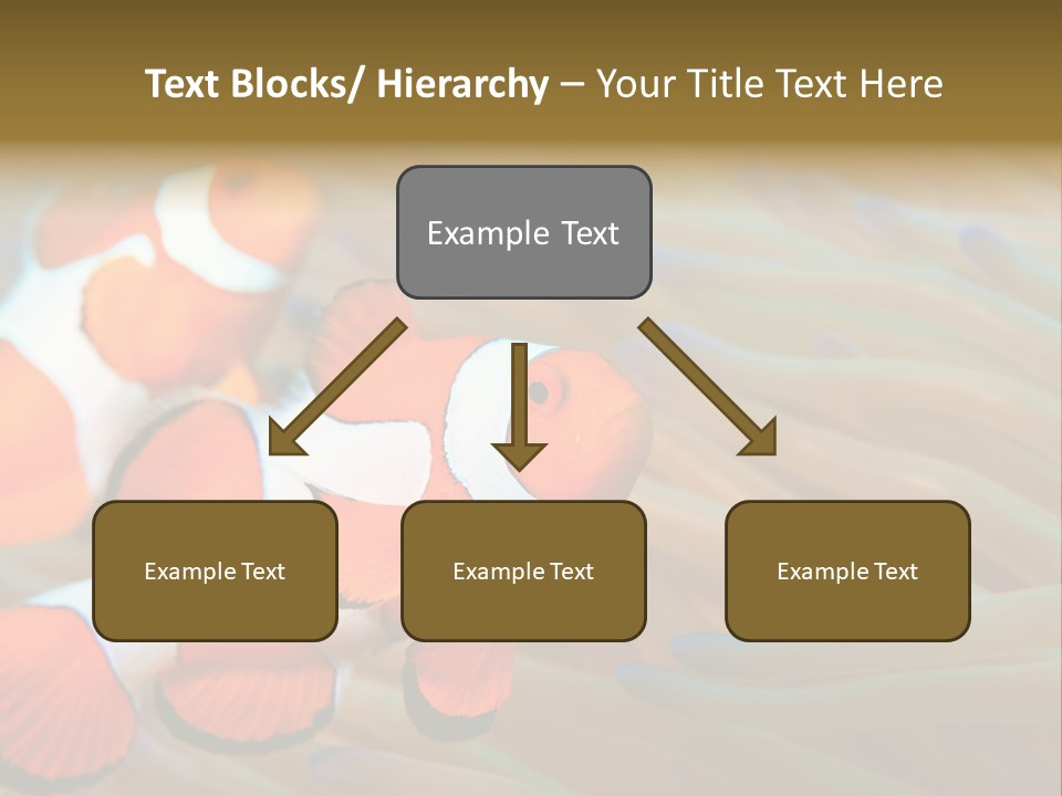 Fish Colorful Anemone Fish PowerPoint Template