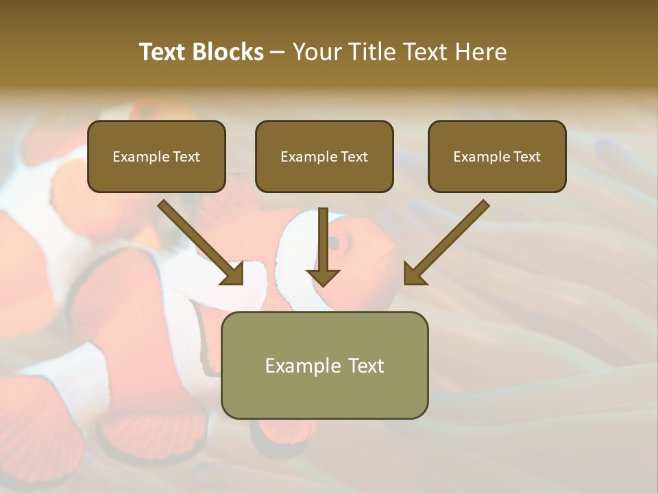 Fish Colorful Anemone Fish PowerPoint Template