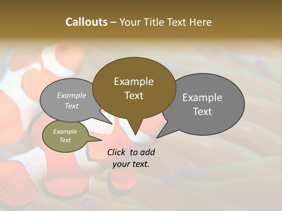 Fish Colorful Anemone Fish PowerPoint Template