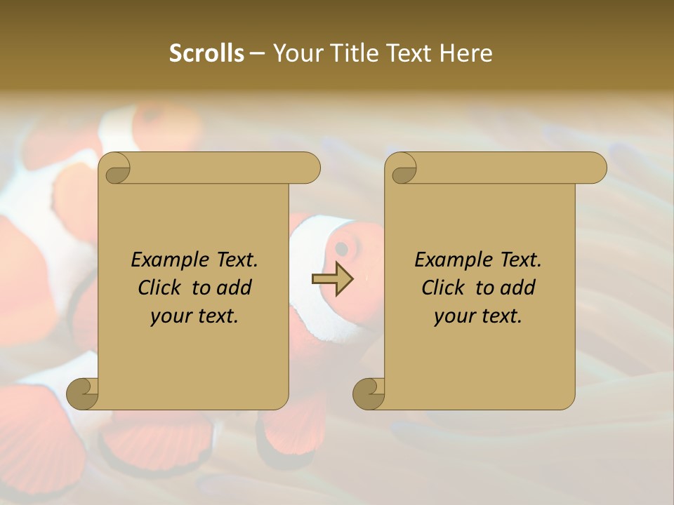 Fish Colorful Anemone Fish PowerPoint Template